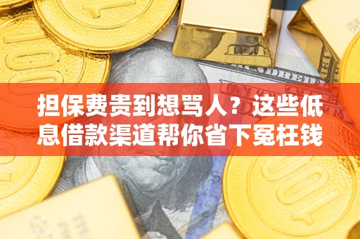 北京担保费贵到想骂人？这些低息借款渠道帮你省下冤枉钱