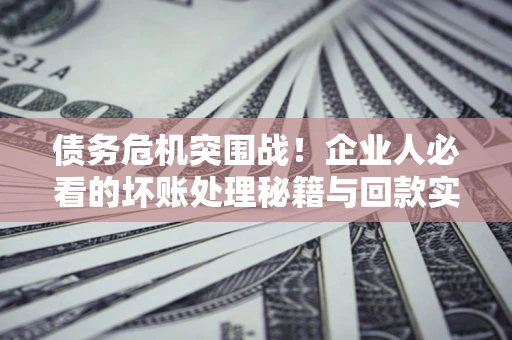 北京债务危机突围战！企业人必看的坏账处理秘籍与回款实战指南